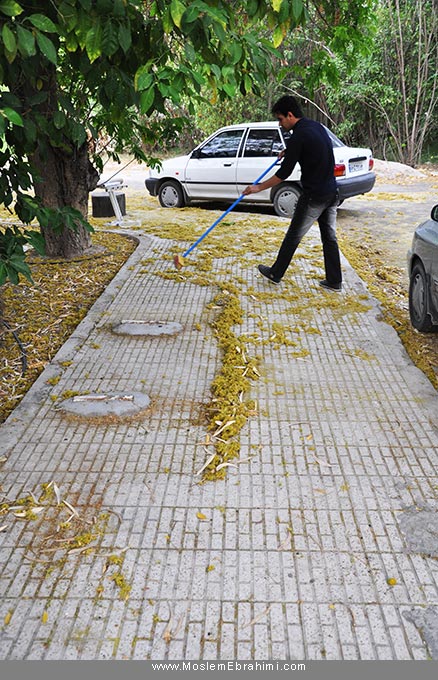 هنرمحیطی Environmental Art