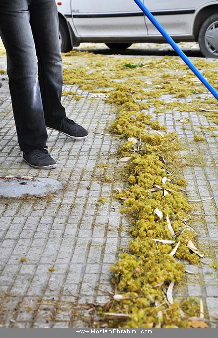 هنرمحیطی Environmental Art