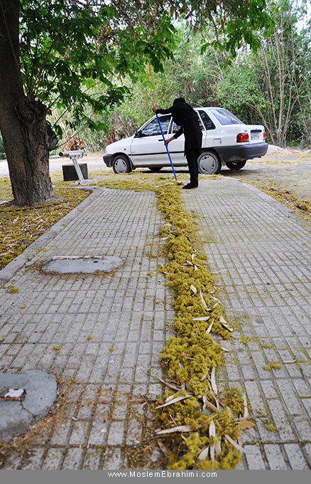 هنرمحیطی Environmental Art