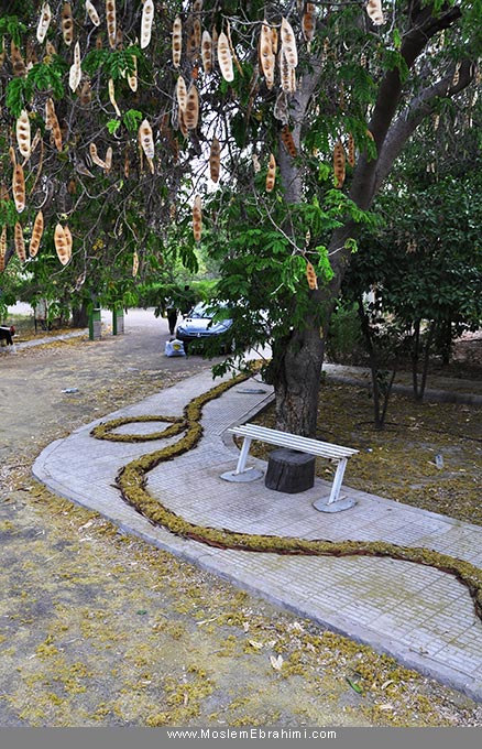 هنرمحیطی Environmental Art