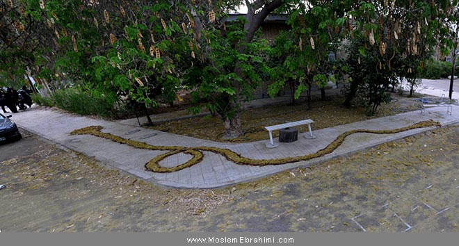 هنرمحیطی Environmental Art