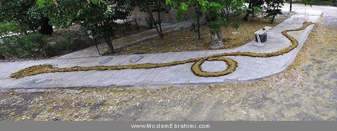 هنرمحیطی Environmental Art