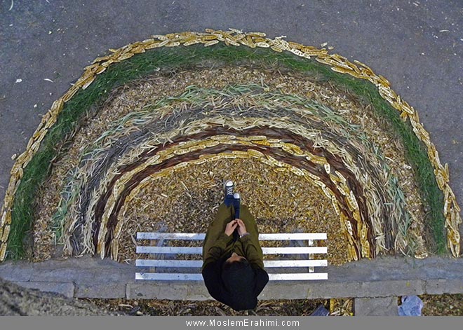 هنرمحیطی Environmental Art