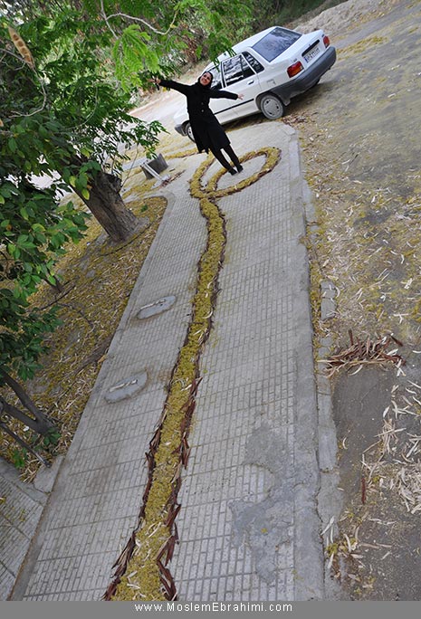 هنرمحیطی Environmental Art